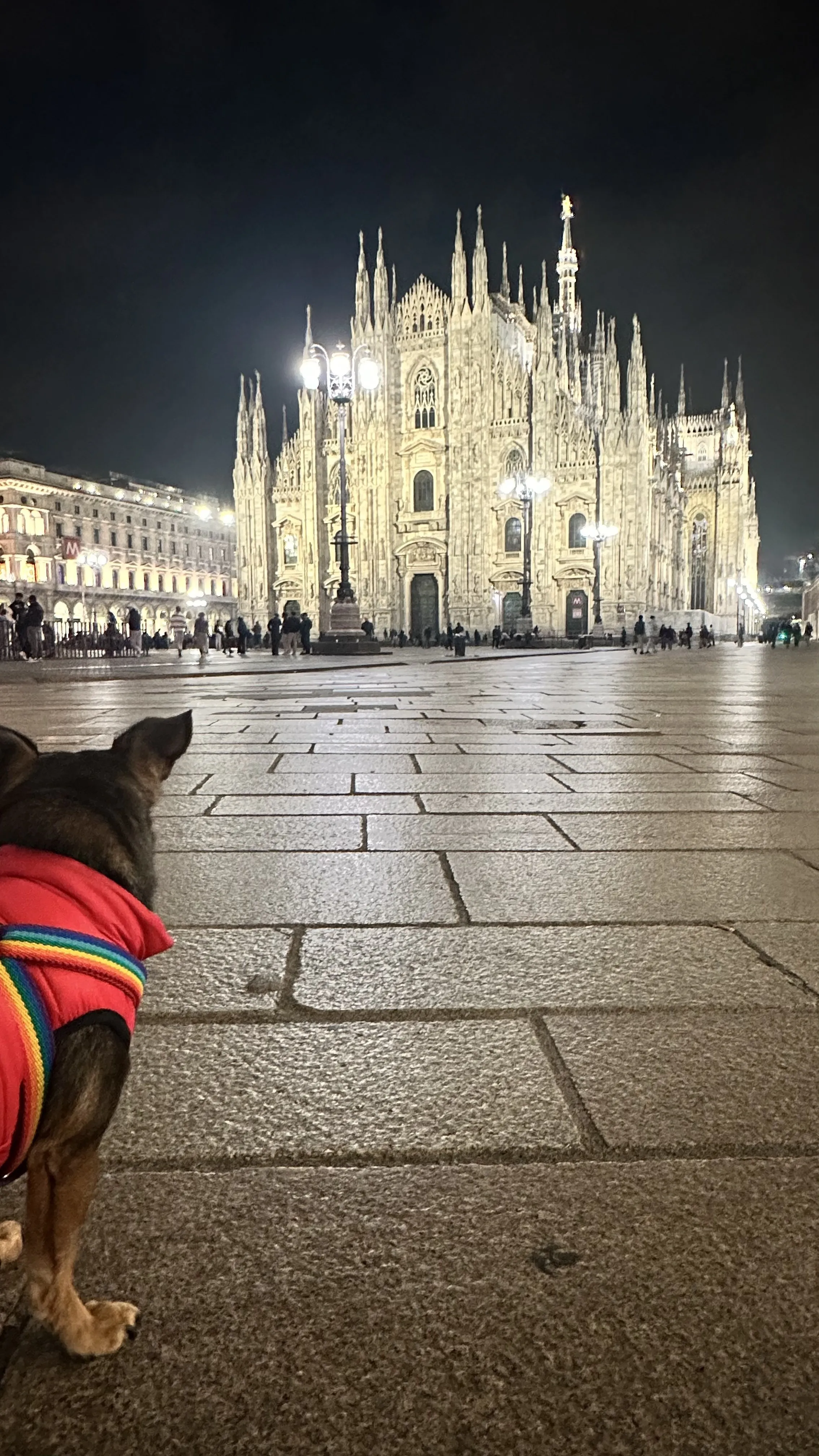 El Duomo de Milán iluminado de noche visto desde la plaza
