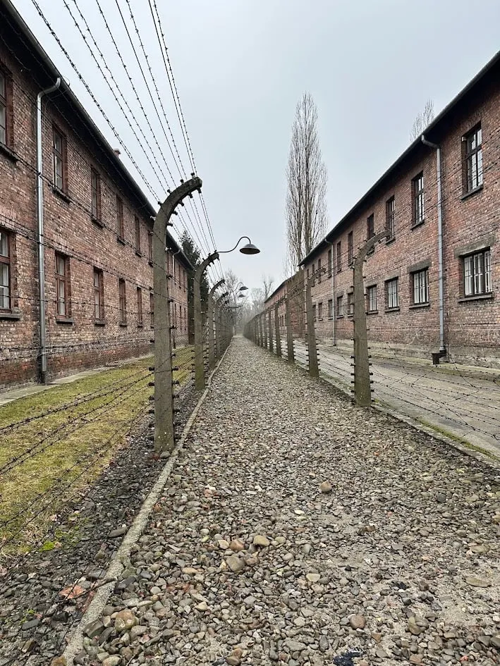 Un camino de grava entre barracones de ladrillo y alambradas en Auschwitz-Birkenau