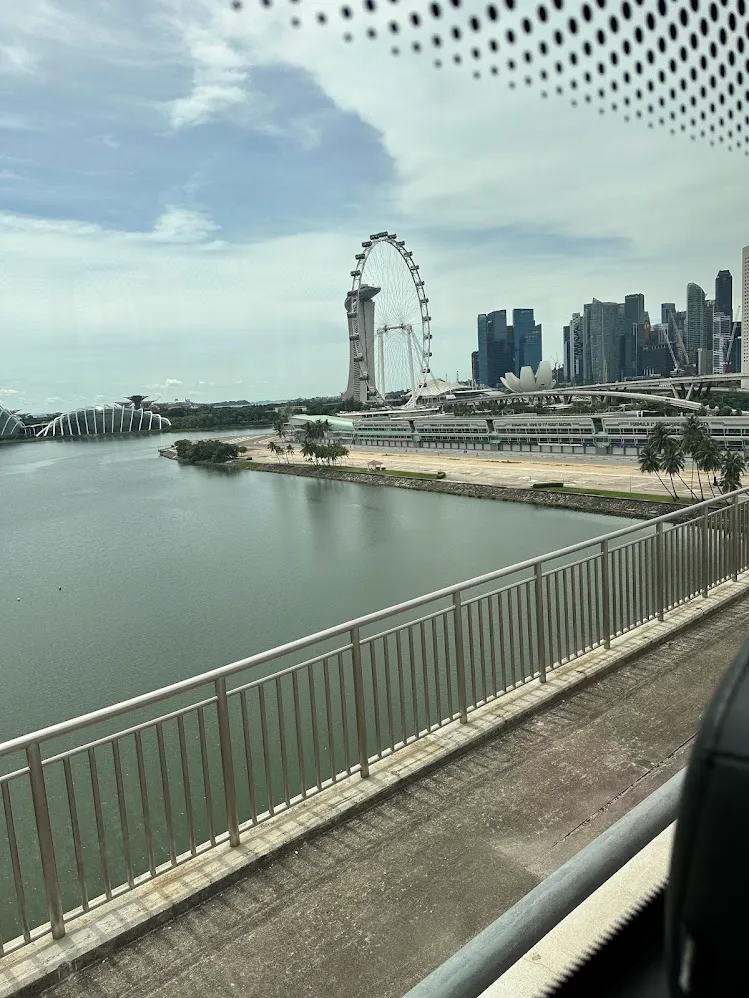 La Singapore Flyer y el perfil urbano de Marina Bay